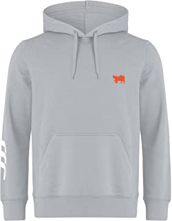 Canterbury 2025 hoodie grey